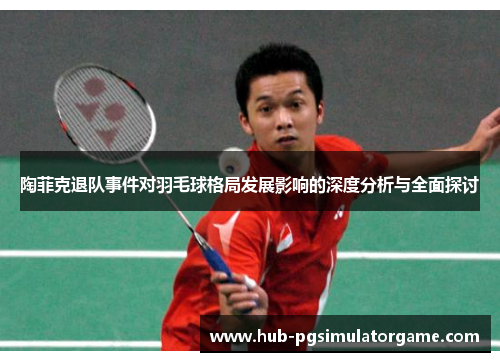 陶菲克退队事件对羽毛球格局发展影响的深度分析与全面探讨